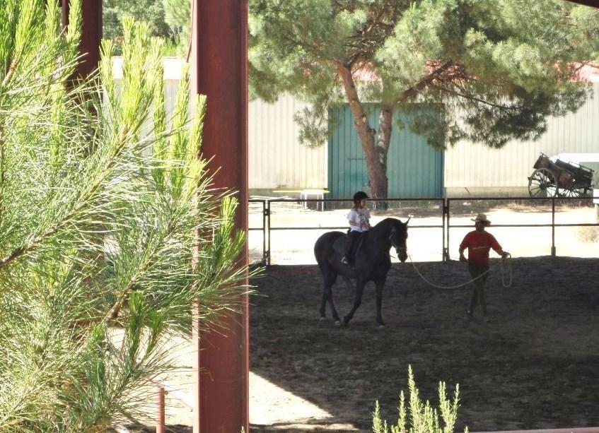 Coudelaria Vale Pau Villa Coruche Værelse billede