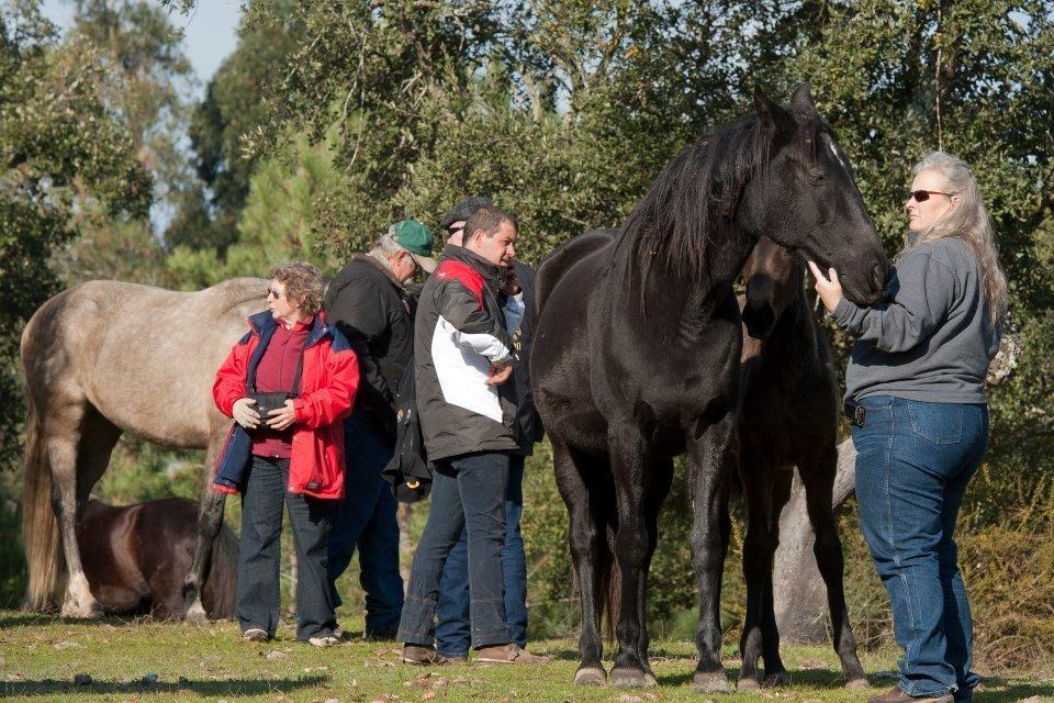 Coudelaria Vale Pau Villa Coruche Eksteriør billede